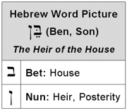 Hebrew Word Picture of the Son (Ben)