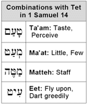 Words formed from combinations with Tet