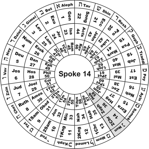 Spoke 14