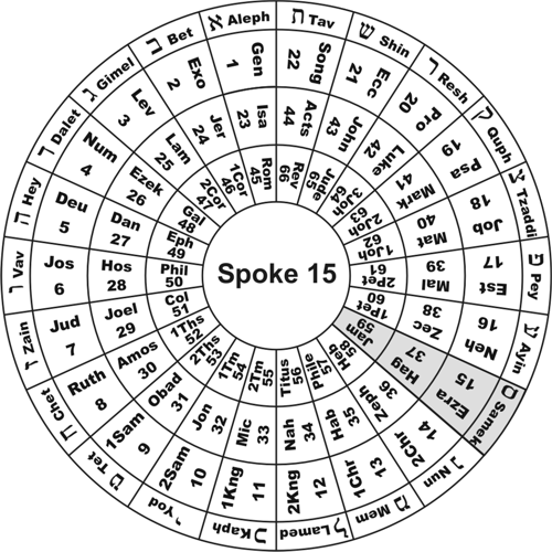 Spoke 15