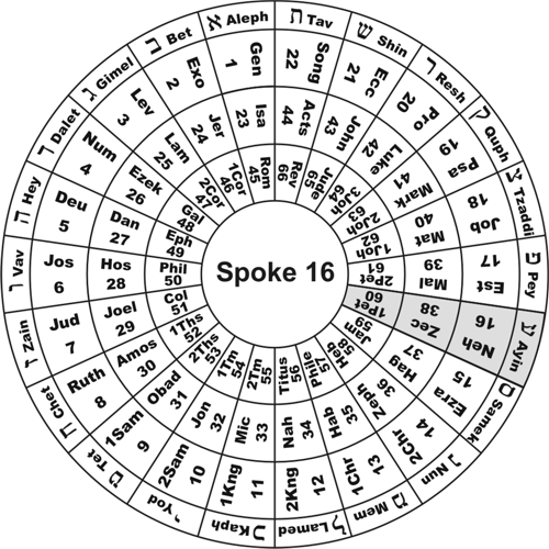 Spoke 16