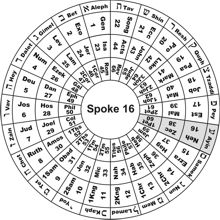 Spoke 16