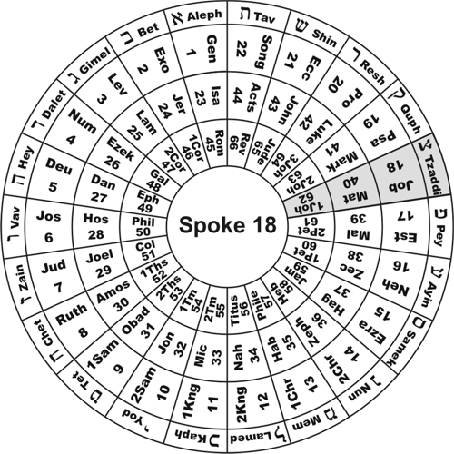 Spoke 18