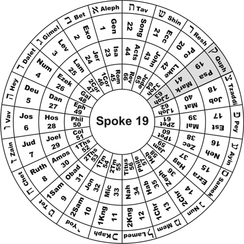 Spoke 19