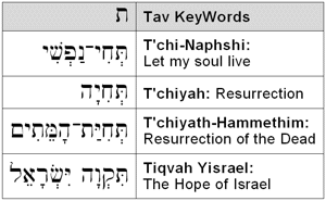 Tav KeyWords