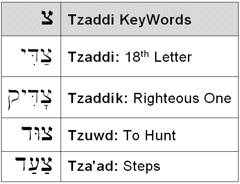 Tzaddi KeyWords