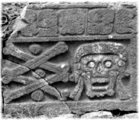 Skull and Crossbones from graveyard in Uxmal, Mexico