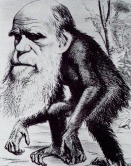 A cartoon of Darwin as Ape from 1871