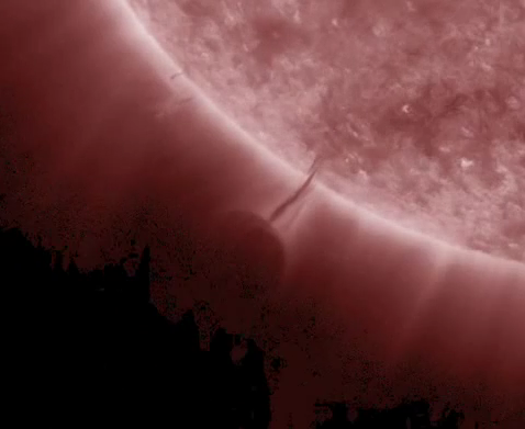 12 march 2012 sun sign of spermatozoid.